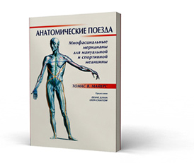 Томас В. Майерс. Анатомические поезда. Миофасциальные меридианы для мануальной и спортивной медицины